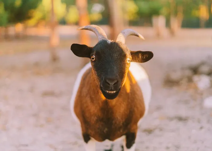 אכסניה Cliff Surf House אה דוס קונהאדוס