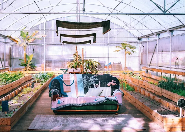 אכסניה Cliff Surf House